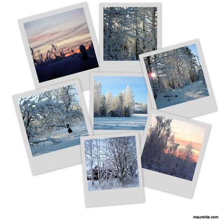 Lunta-neige Lunta-neige