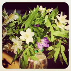 85C66C98-084D-4D48-838B-0EC532A15C81